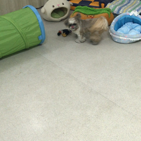 ♪プレイルーム動画♪③の画像