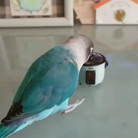 失敗ミルたんの画像