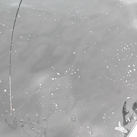 タイラバの画像