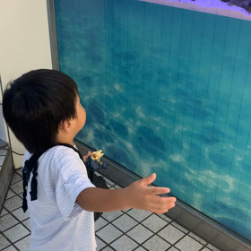 保育園帰り☆寄り道☆の画像