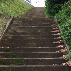 １７５＄の巻の画像