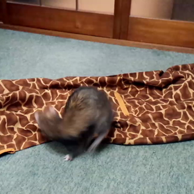 懐かしの…の画像