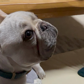 娘1vsくうの画像