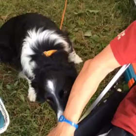 エンドレスの画像