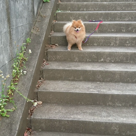 明日からの画像