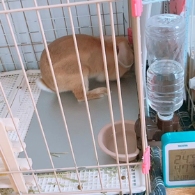 ホリホリしまくりの画像