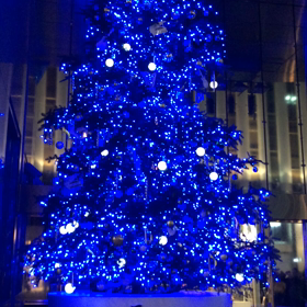 ☆クリスマスツリー@山野楽器☆の画像