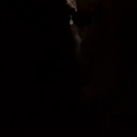 今日のジム、神経系薬リリカ、字幕付きペット動画、娘と新しい地図。の画像