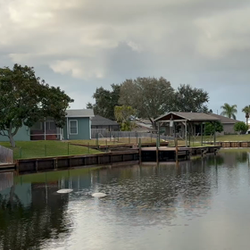 マナティの画像