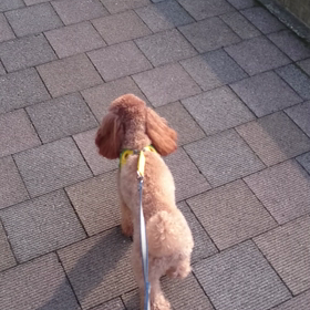 ２日ぶり♪の画像