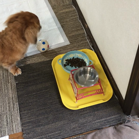 朝ごはん食べる儀式の画像