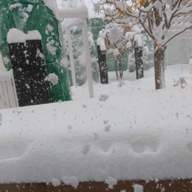 はあ〜？(((;ꏿ_ꏿ;)))の画像