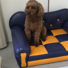 ♪プレイルーム動画♪③の画像