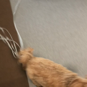 パニック‼️の画像