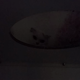 おやすみ～～～の画像