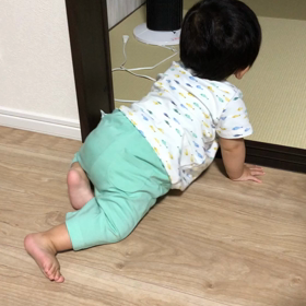 生後264日の画像