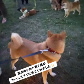 2023/09/06の画像