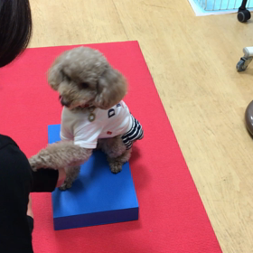 半ばヤケクソ。の画像