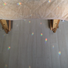 統合医療フェスタではお世話になりましたの画像