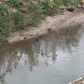 親子？！の画像