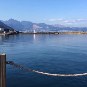 久しぶりの港園散歩( ^ω^ )の画像