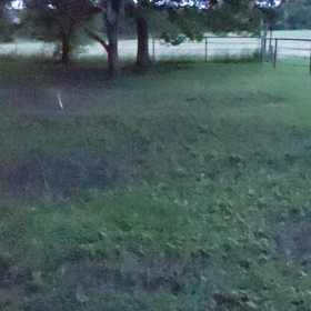 詐欺なのか？＠勉強不足。(;^_^Aの画像