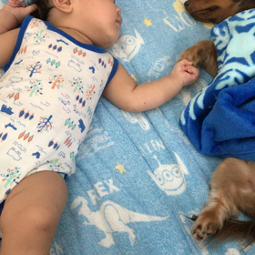 モキュモキュ(=´∀｀)人(´∀｀=)の画像