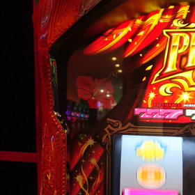 めしべ超低速の画像