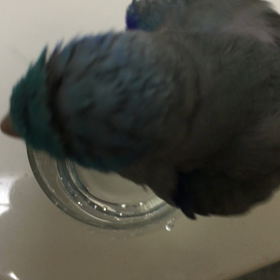 ライちゃんのモフモフお尻がの画像