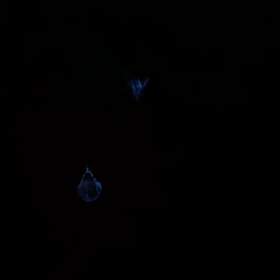 発光微生物の画像