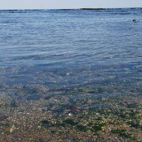 地球を感じての画像