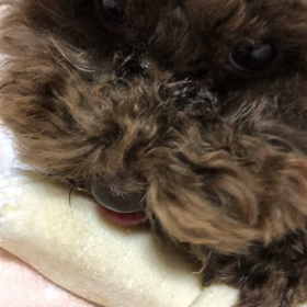 (*˙˘˙)♡怒の画像