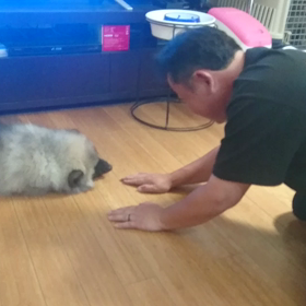 マイブームの画像