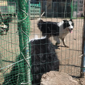 出産予定のお母さんの画像