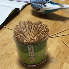 ぴーちゃんありがと(´༎ຶོρ༎ຶོ`)の画像