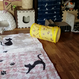 Ｒ＆Ｏ(64) 健在ですよ！の画像