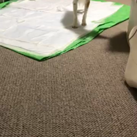 Over a Month now (^_^;)/の画像