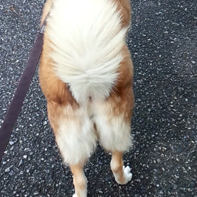 ちゃこの。。。の画像