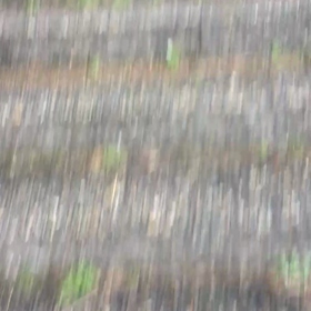 テクテク♪３５。の画像