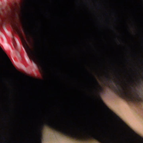 ビデオ撮影中はやりません！の画像