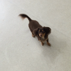 ♪プレイルーム動画♪の画像