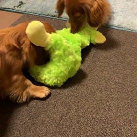 青空の朝を迎えましたの画像