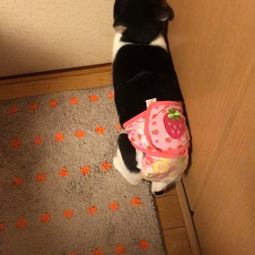 行きませぬ、お寒もうございますよの画像