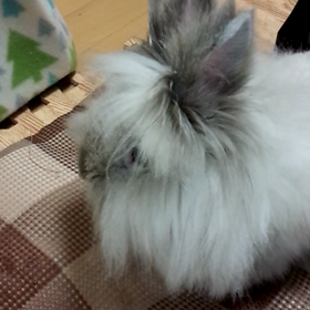 ◎やめてくれ～◎の画像