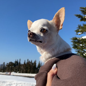 ジャム勝の画像