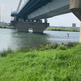 今日のSUPの画像