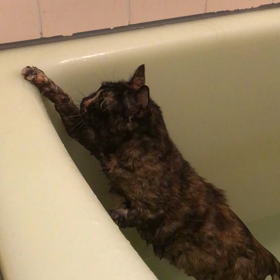 沙美はフクザツな気持ちの画像