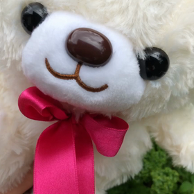 7月27日の気になる、きになるぅ〜の画像