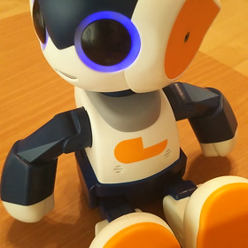 ロビジュニアの画像