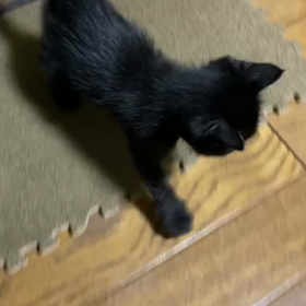 比べましたの画像